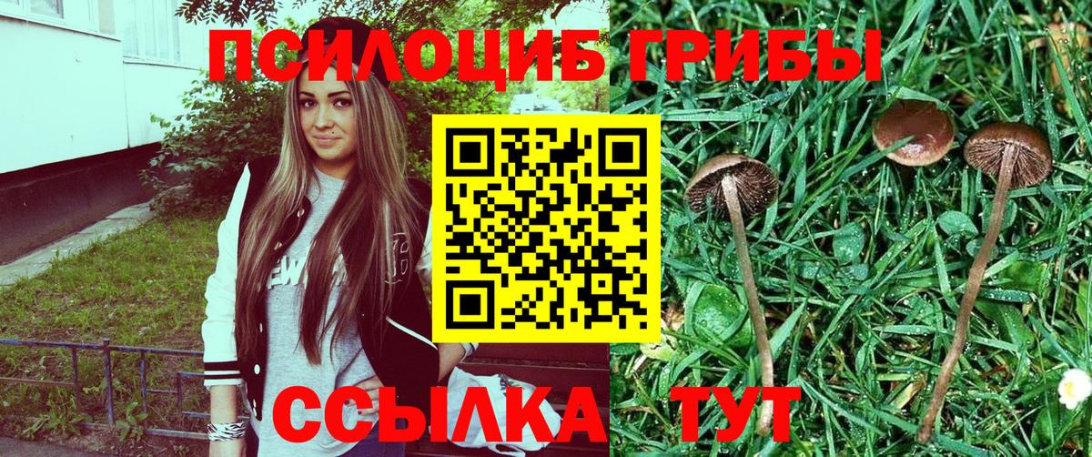 Псилоцибиновые грибы MAGIC MUSHROOMS Сланцы