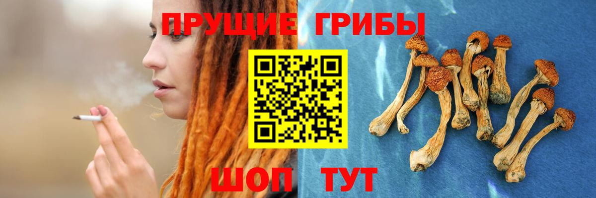 Галлюциногенные грибы ЛСД  Галлюциногенные грибы ЛСД  Вход с VPN  Сланцы 